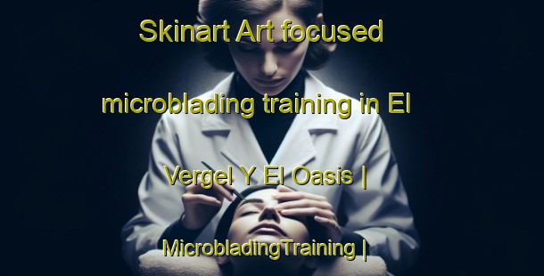 Skinart Art-focused microblading training in El Vergel Y El Oasis | MicrobladingTraining | MicrobladingClasses | SkinartTraining-Mexico